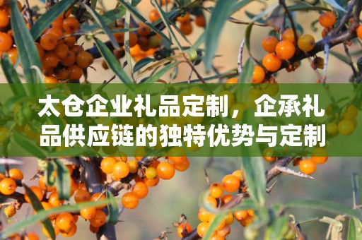 太仓企业礼品定制，企承礼品供应链的独特优势与定制体验