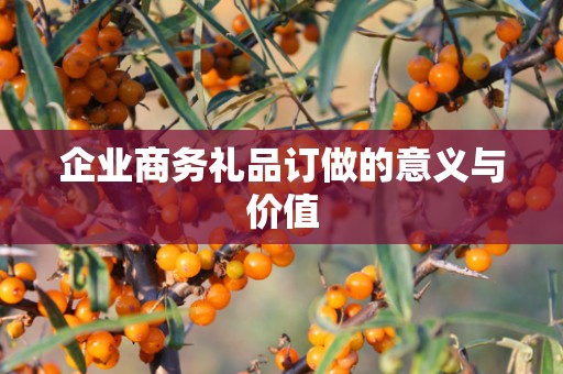 企业商务礼品订做的意义与价值