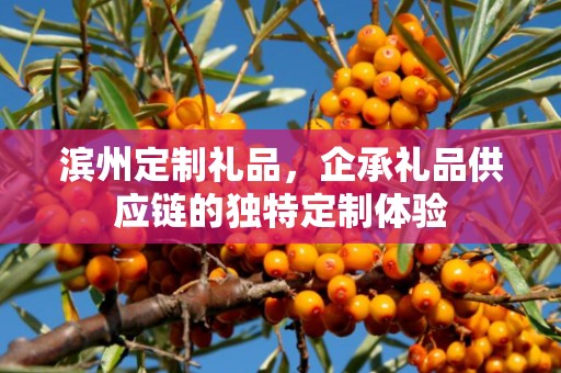 滨州定制礼品，企承礼品供应链的独特定制体验